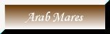 Our Arabian Mares